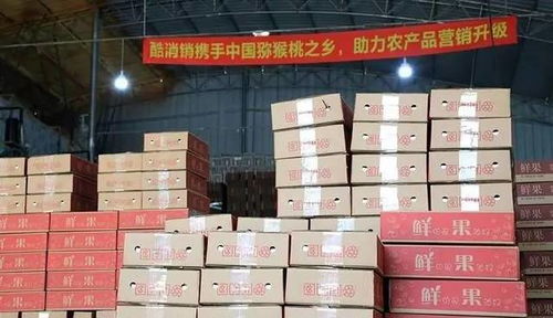 酷消銷再獲信任，金融中介服務(wù)將助力天水花牛蘋果營銷新篇章